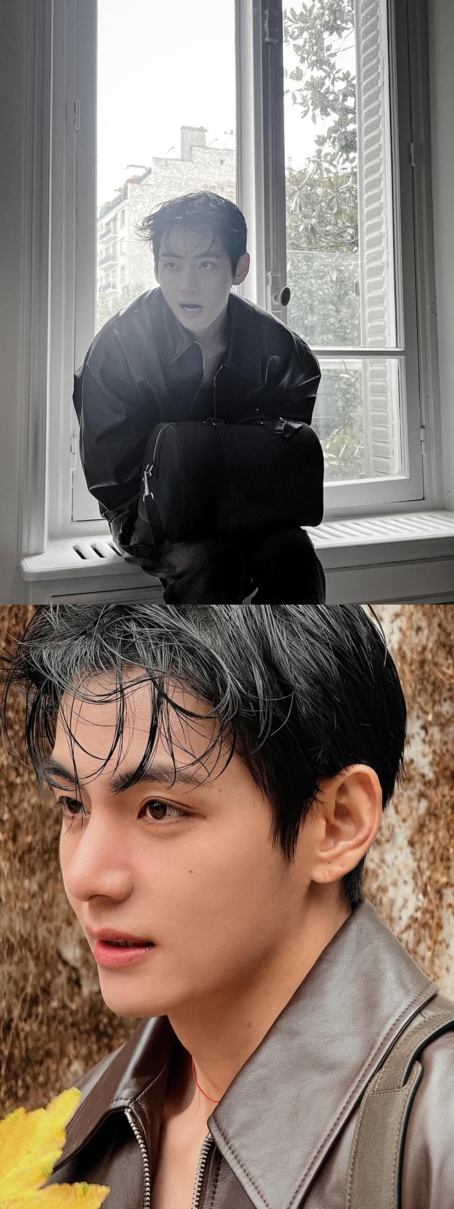 티브이데일리 포토