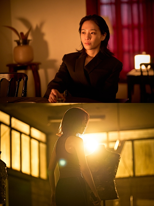 티브이데일리 포토