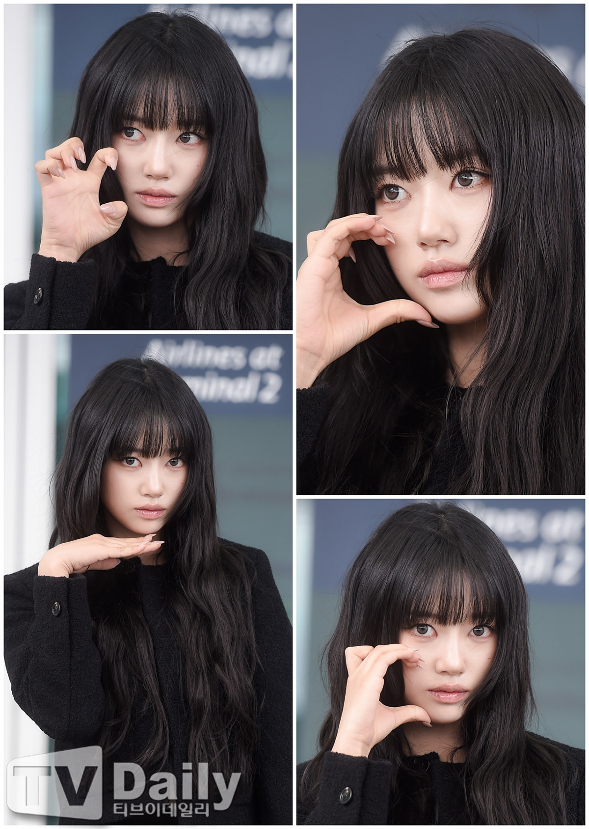 티브이데일리 포토