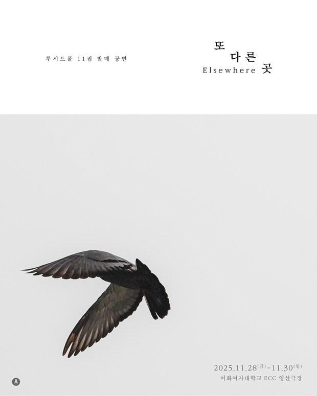 티브이데일리 포토