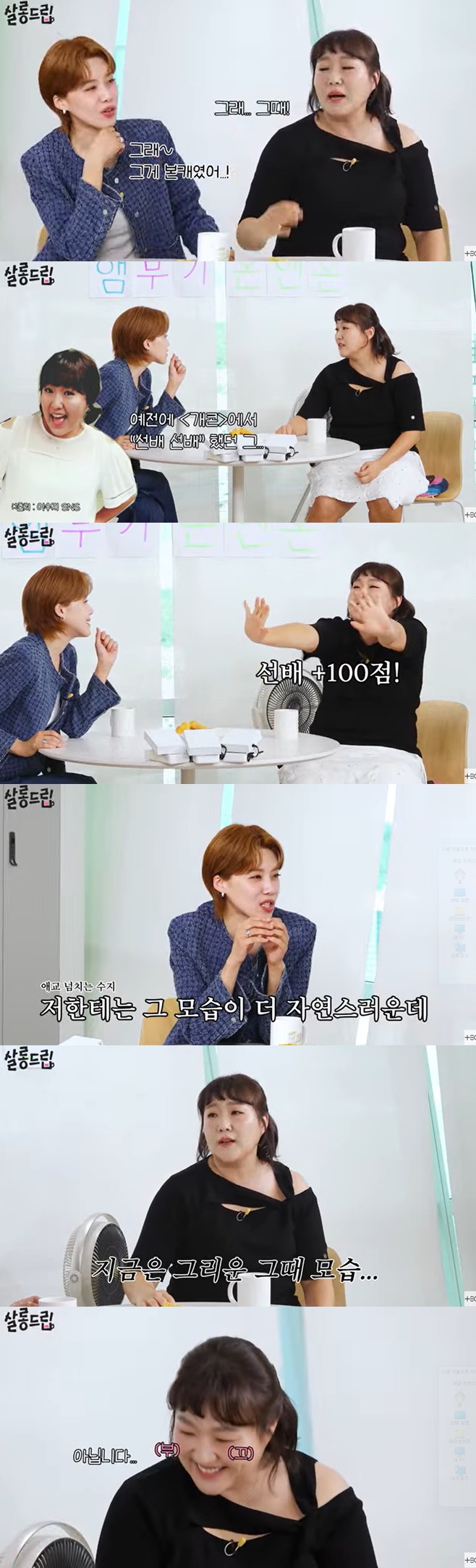 티브이데일리 포토