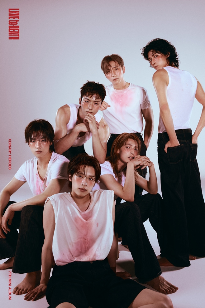 티브이데일리 포토