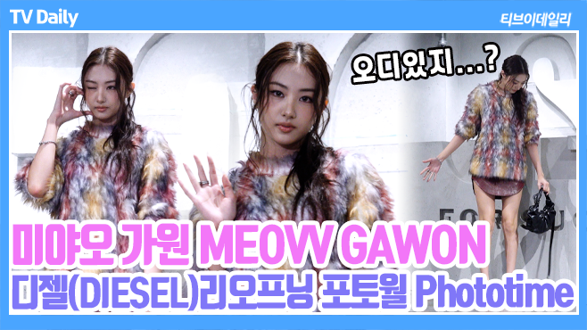 티브이데일리 포토