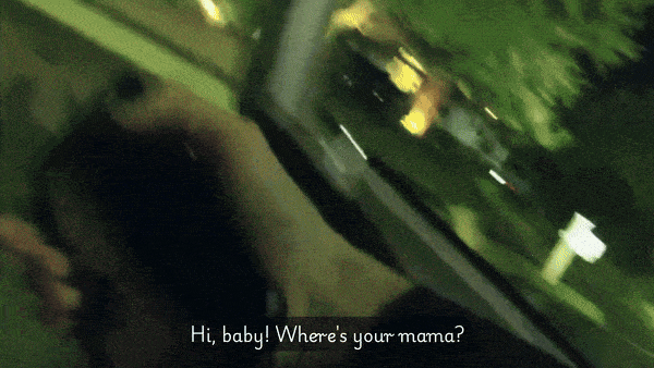 引用:オカルーサ郡保安官事務所Facebook