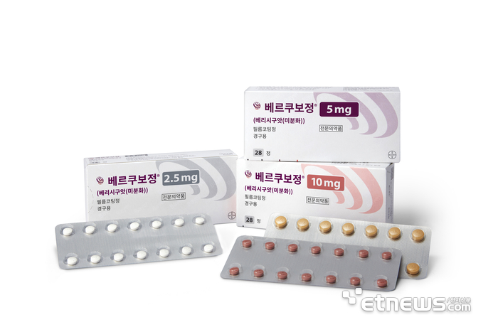 베르쿠보