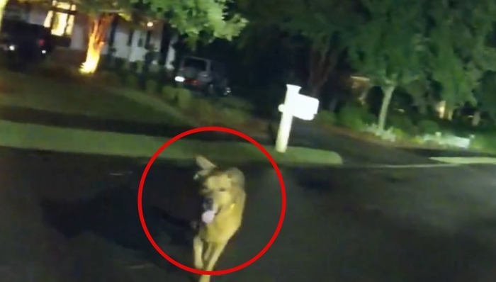 引用:オカルーサ郡保安官事務所Facebook