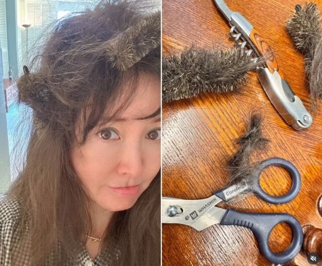 引用:instagram@lee_sang_a0214