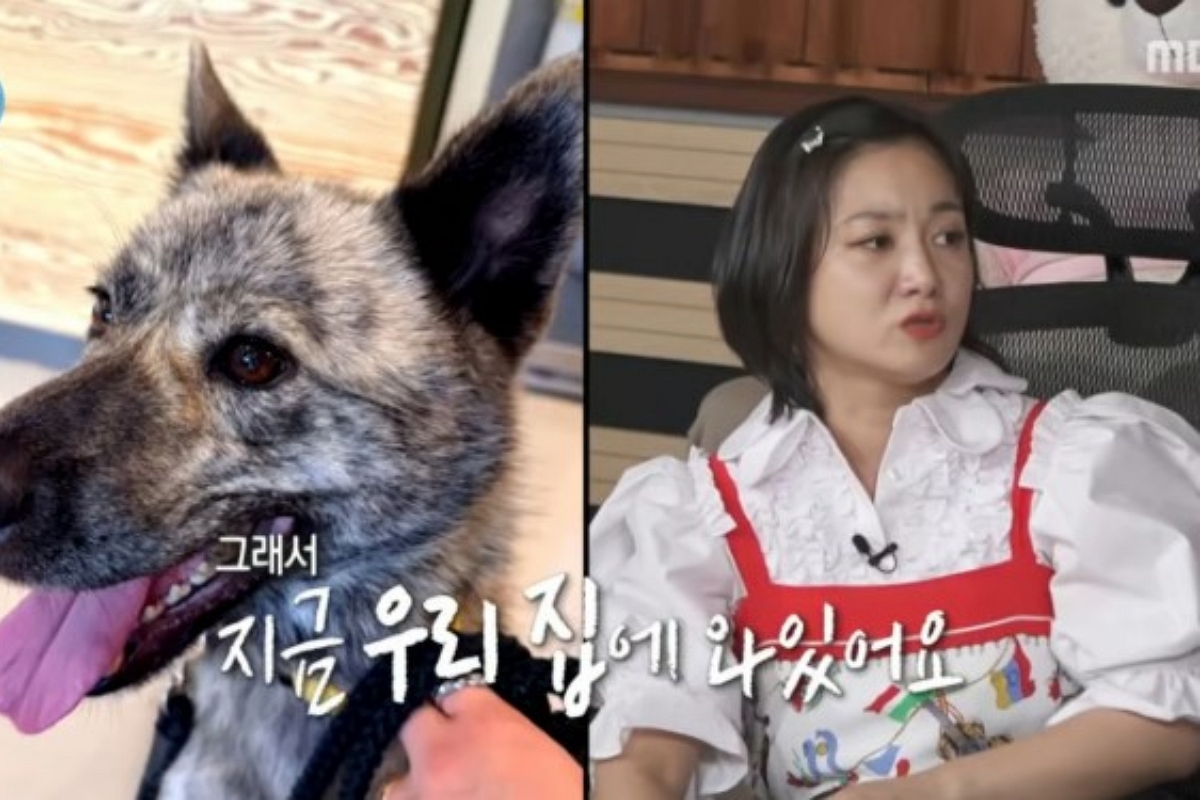 출처: MBC ‘나 혼자 산다’