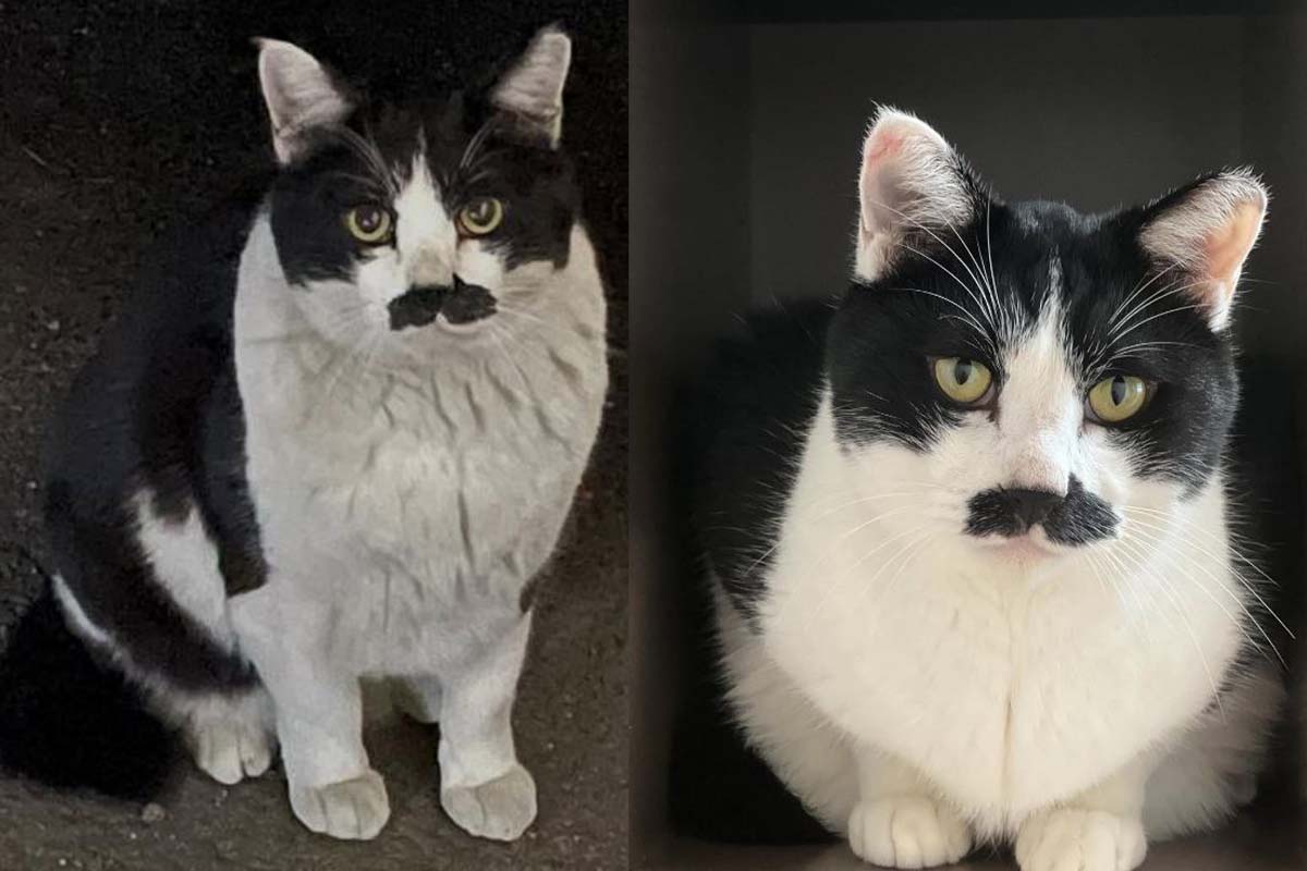 출처: 조윤희 SNS