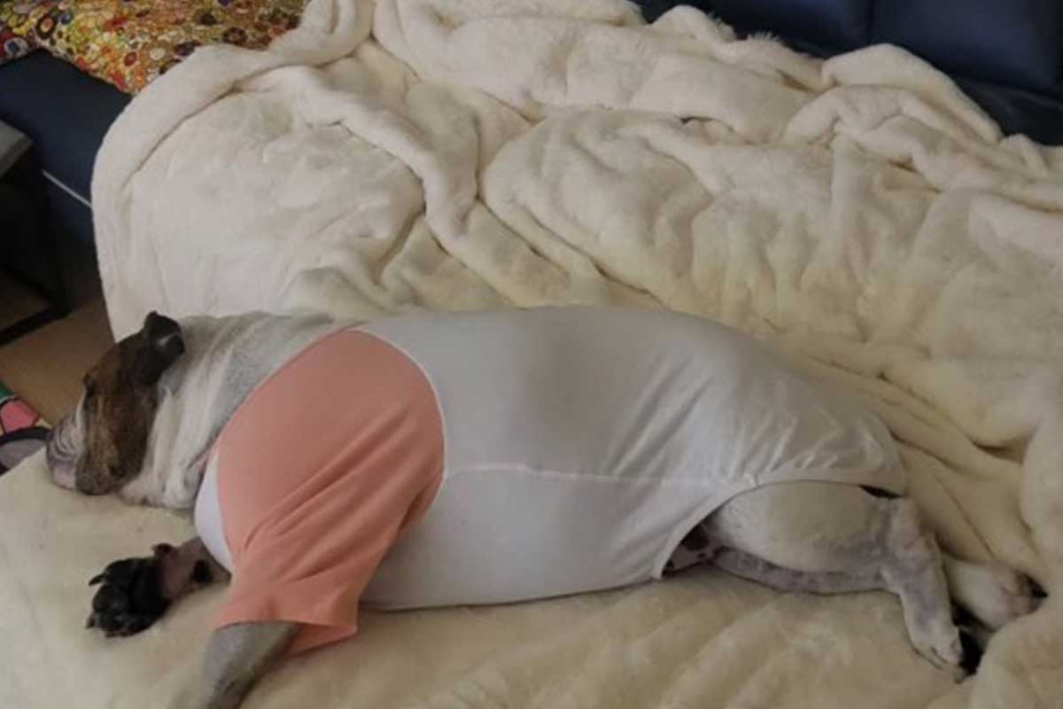 출처 : 윤민수 SNS