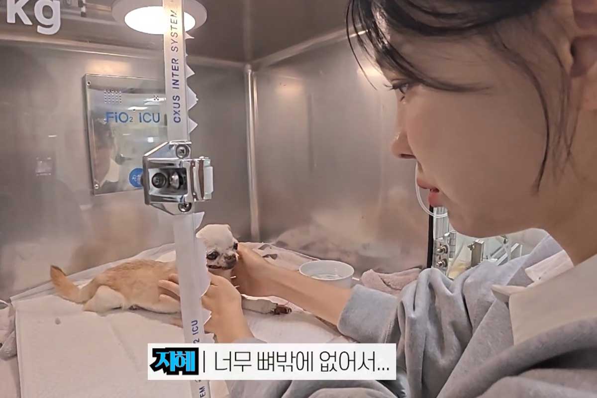 출처 : 유튜브 채널 '밉지않은 관종언니'