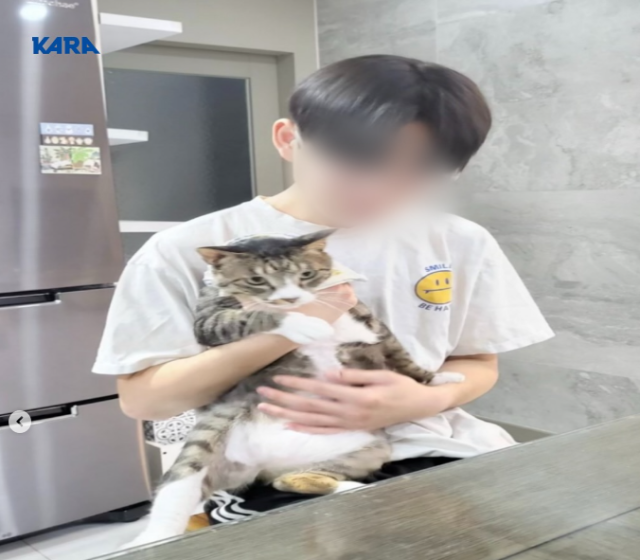 引用:動物保護市民団体KARAのSNSアカウント