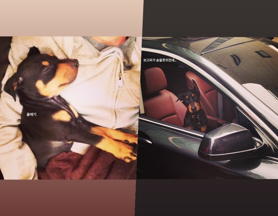 사진 : 배정남 인스타그램