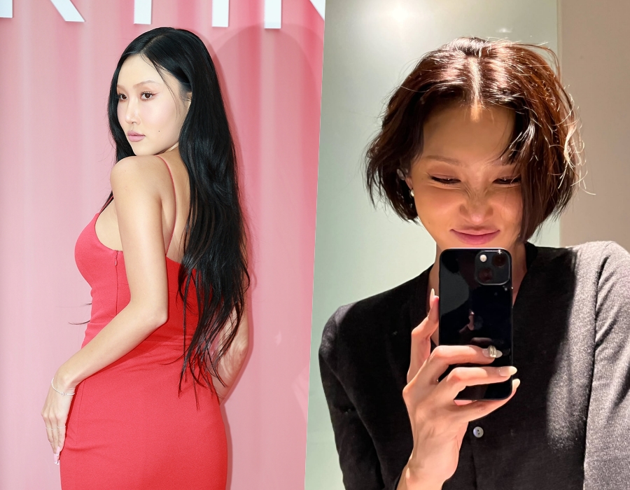 사진: 픽콘DB, 화사 인스타그램