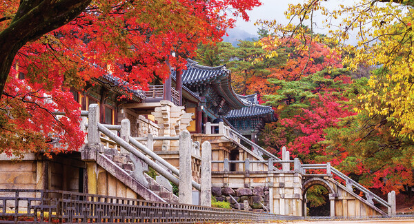 (출처 : 경주시청 매거진경주)