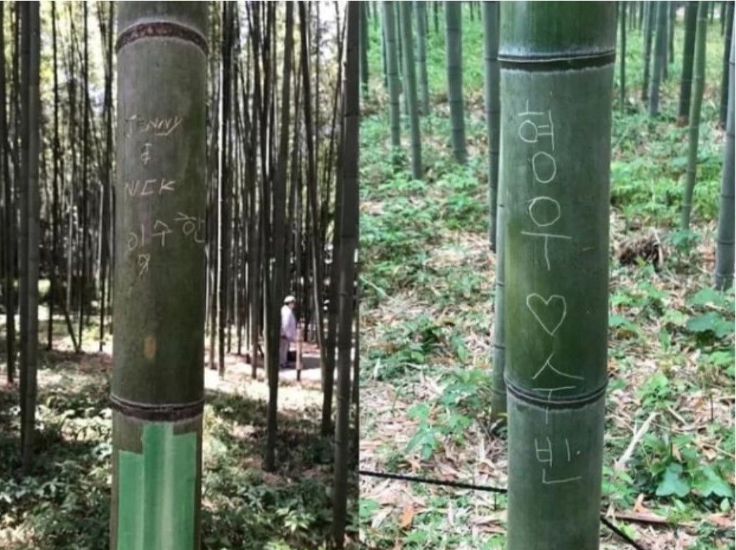Korean names written on bamboo stalks at Kyoto’s Arashiyama Bamboo Grove. (X)