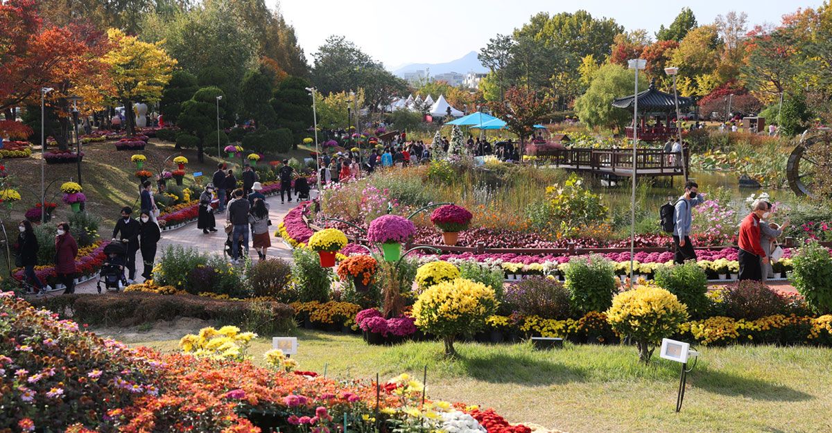 (Yuseong District)