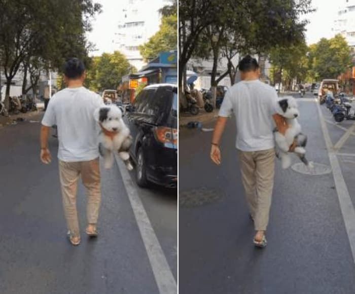 애니멀플래닛