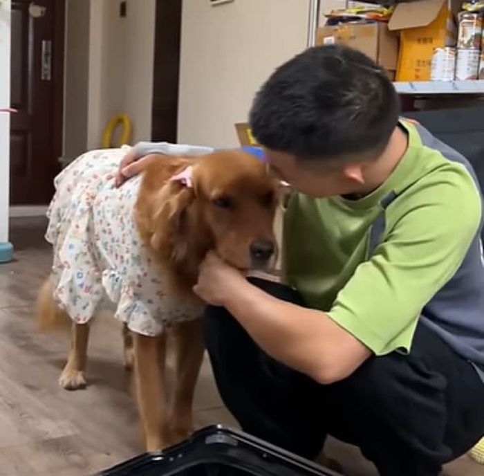 애니멀플래닛