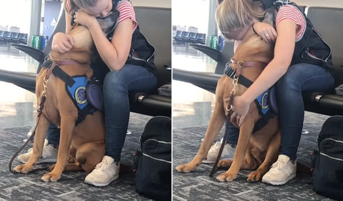 引用:アニマルプラネット