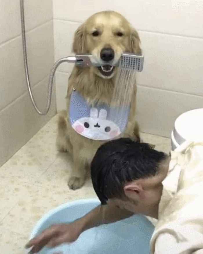 引用：ウェイボー