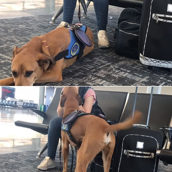 引用:アニマルプラネット