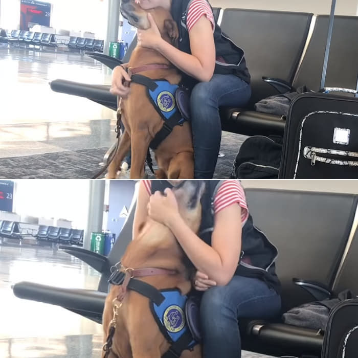 引用:アニマルプラネット