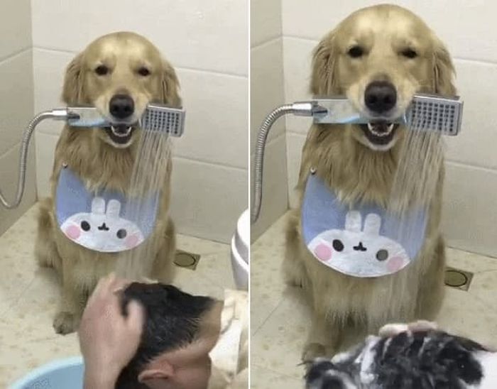 引用：ウェイボー