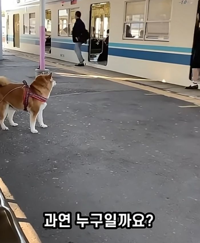 애니멀플래닛
