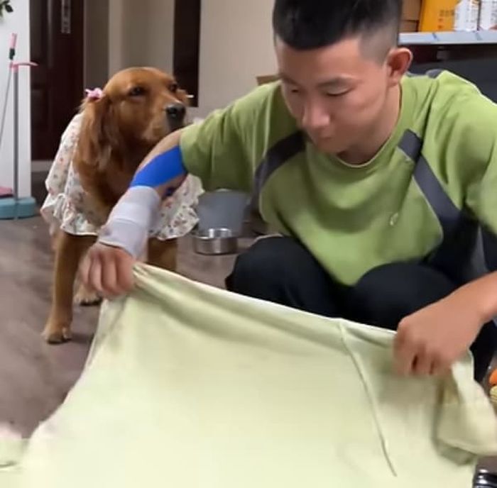 애니멀플래닛