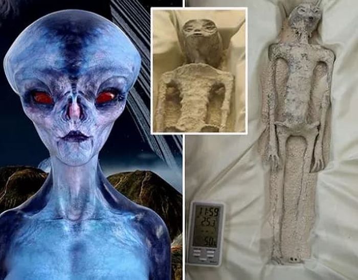 引用:デイリー・スター