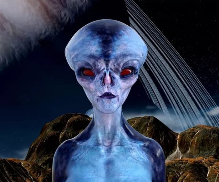 引用:デイリー・スター