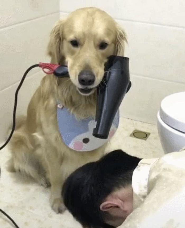 引用：ウェイボー