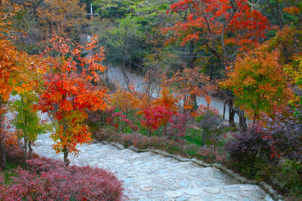상원사 단풍 / 사진=한국관광공사 포토코리아@이범수