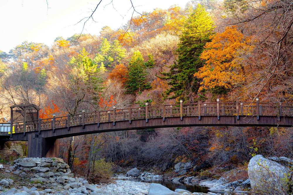 오대산국립공원 / 사진=한국관광공사 포토코리아@강원지사모먼트스튜디오