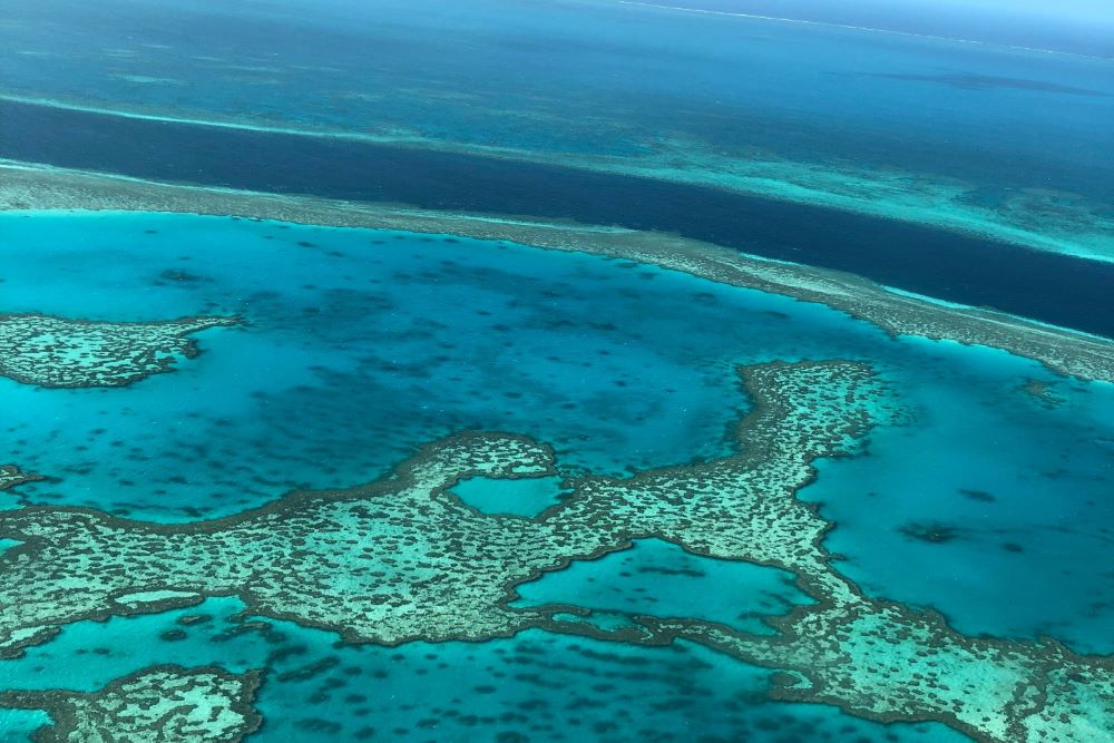 호주 그레이트 배리어 리프 / Designed by Freepik