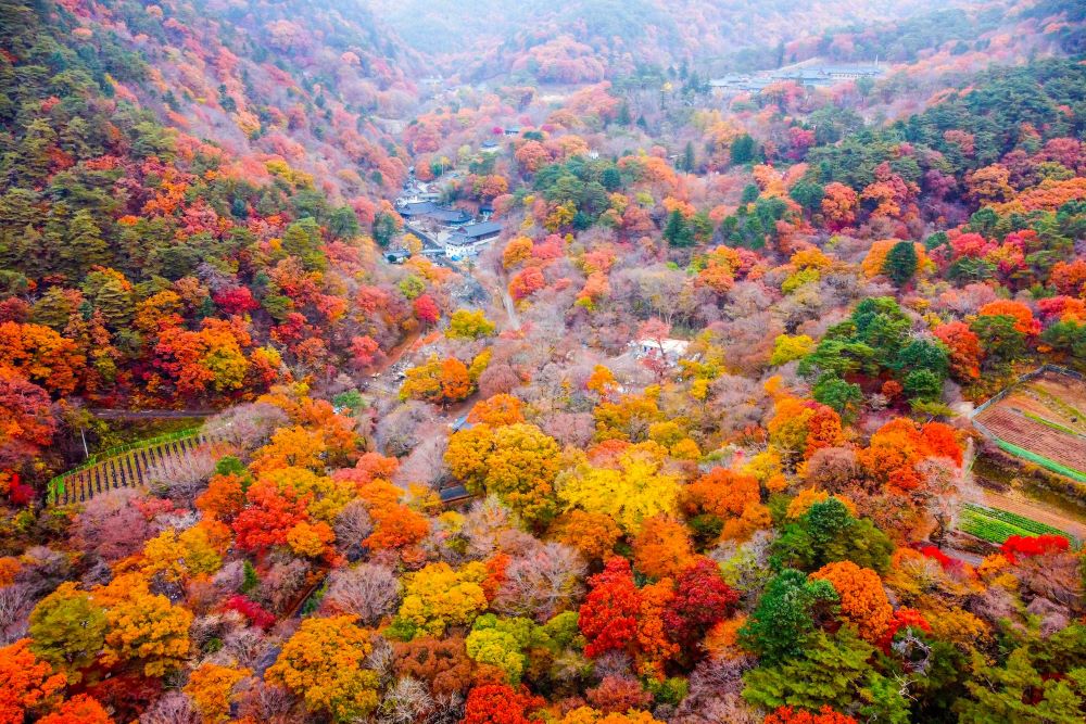 가야산 단풍 / 사진=한국관광공사 포토코리아@김범용
