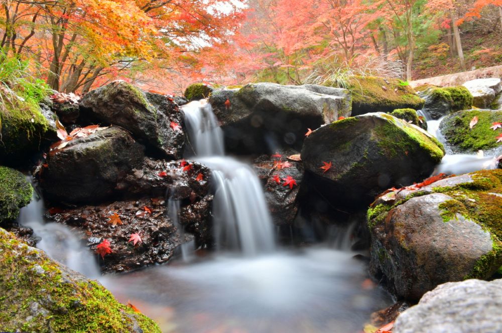 강천산 계곡 / 사진=강천산