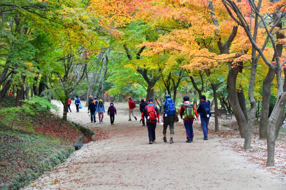 등산을 하는 여행객 / 사진=순창군