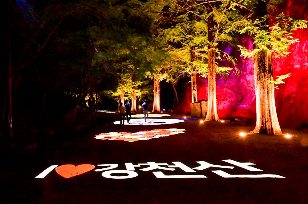 야간개장 / 사진=순창군