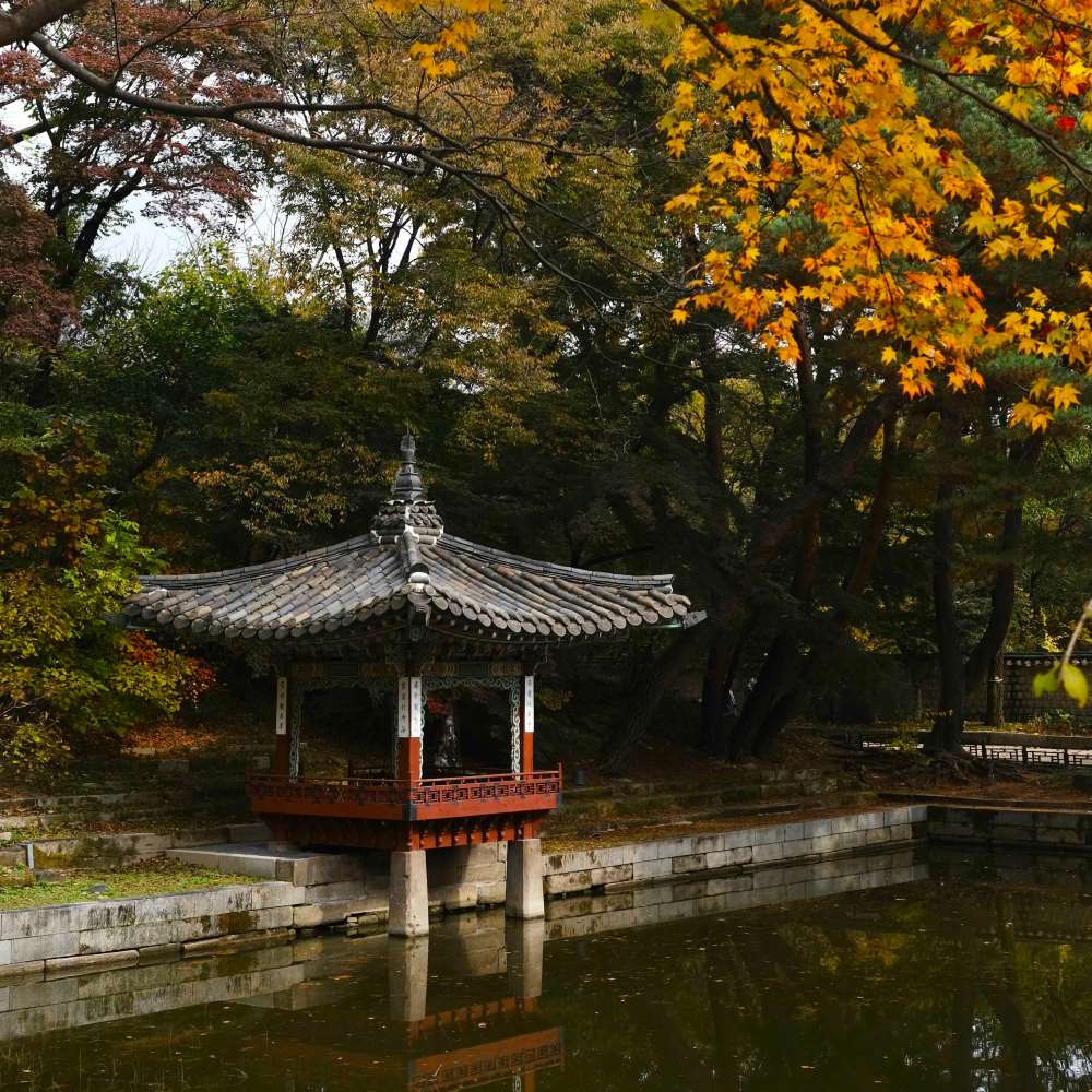 창덕궁 후원 / 사진=한국관광공사 포토코리아@최린