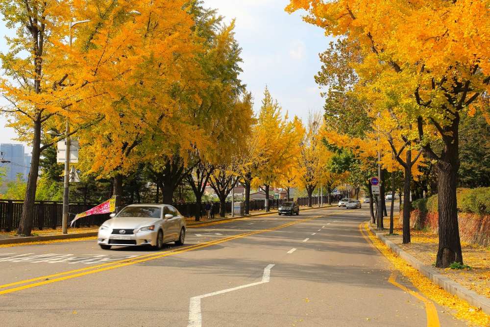 남산 둘레길 / 사진=서울연구데이터서비스