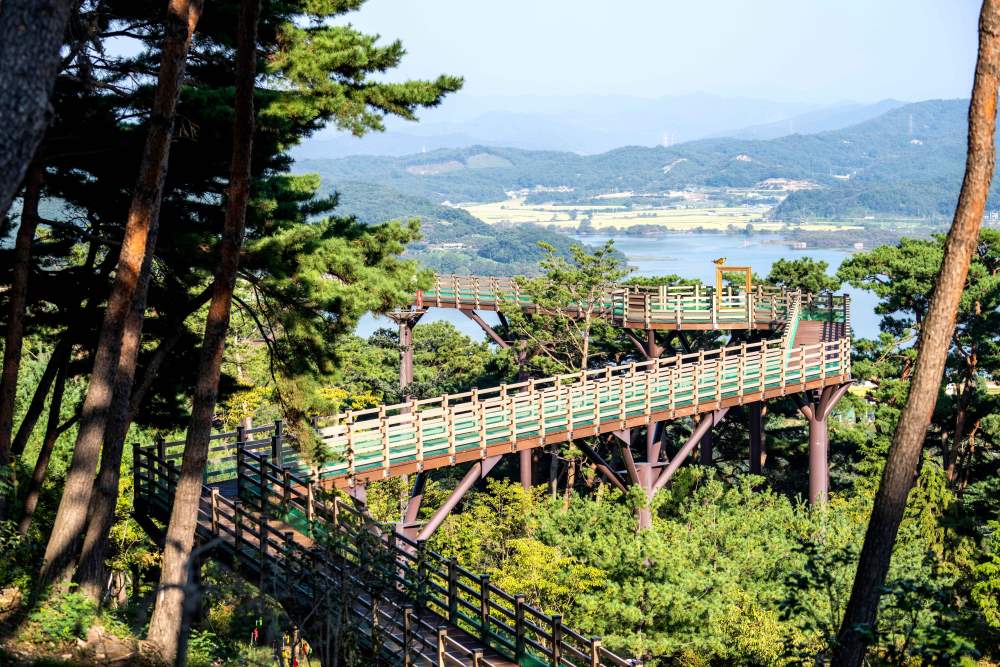 봉수산 수목원 / 사진=한국관광공사 포토코리아@이범수