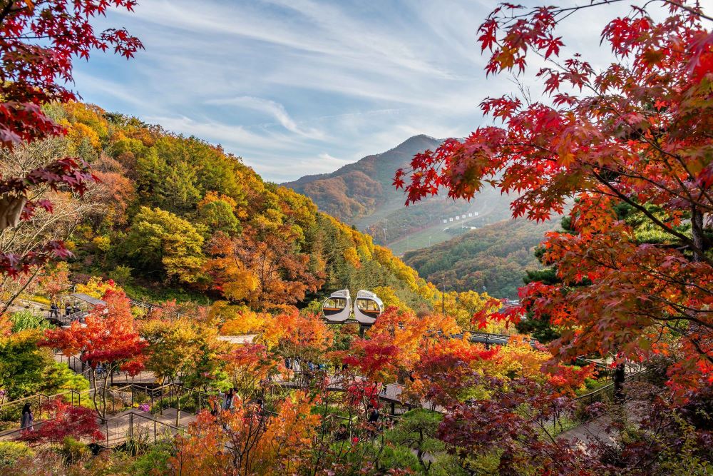 화담숲 모노레일 / 사진=한국관광공사 포토코리아@김대형