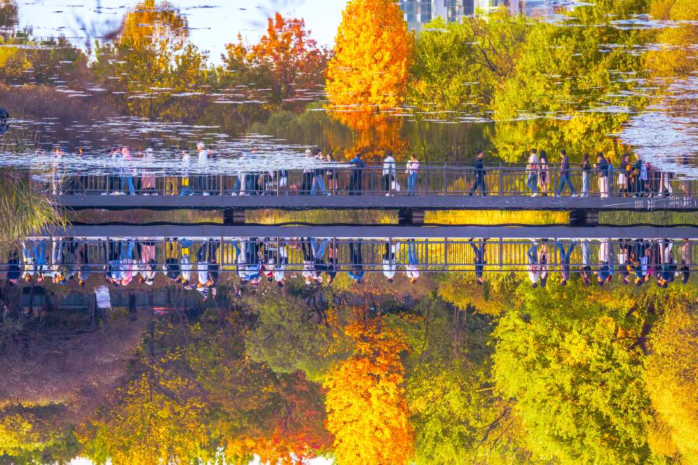 서울숲 거울못 / 사진=서울아카이브