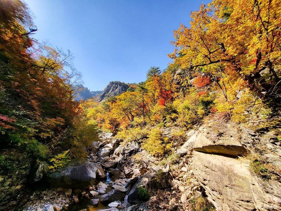 설악산 / 사진=한국관광공사@TourAPI