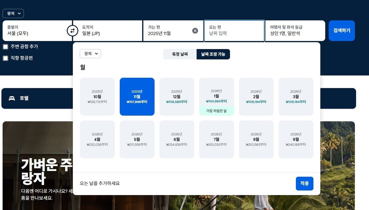 날짜 전체 보기 활용 / 스카이스캐너 캡처
