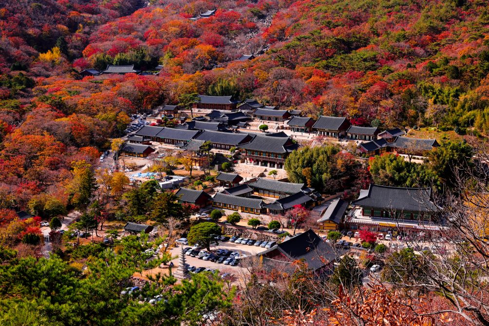 범어사 단풍 / 사진=비짓부산@김기중