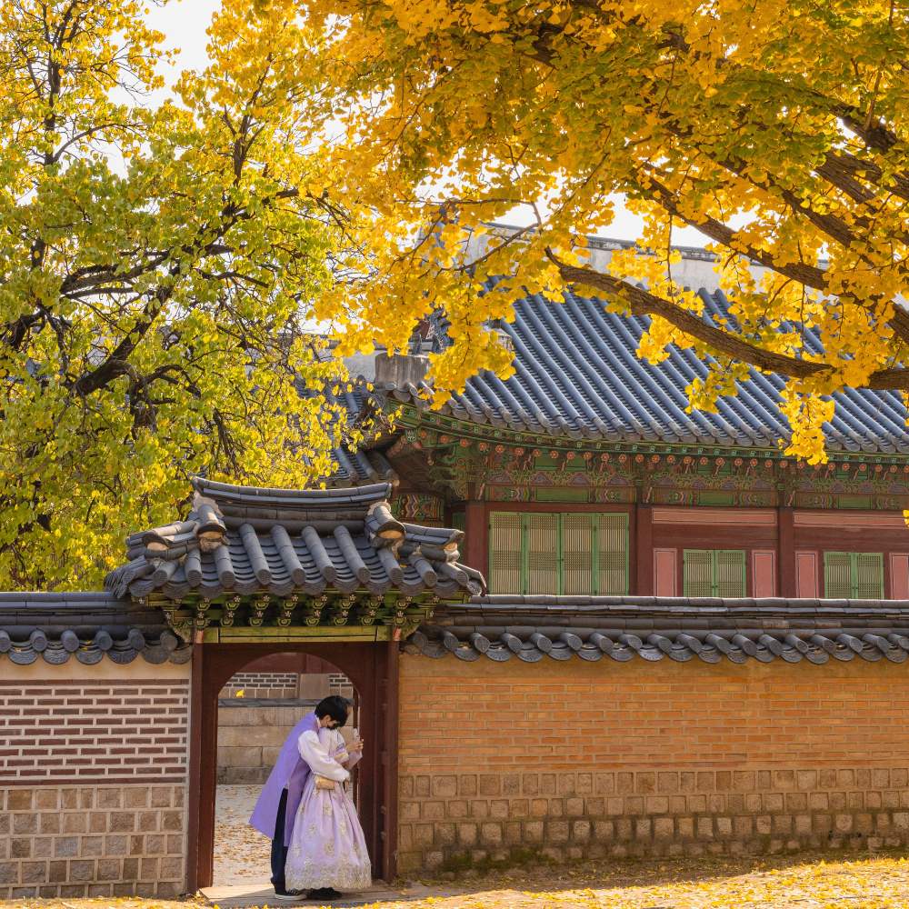 경복궁 단풍 / 사진=서울아카이브