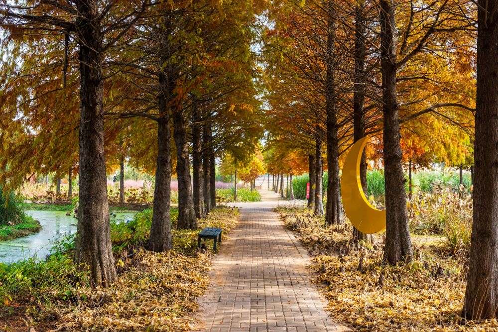 걷기 좋은 산책로 / 사진=한국관광공사 포토코리아@김지호